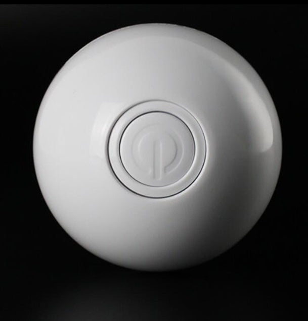 Laser Rolling Cat Toy Ball