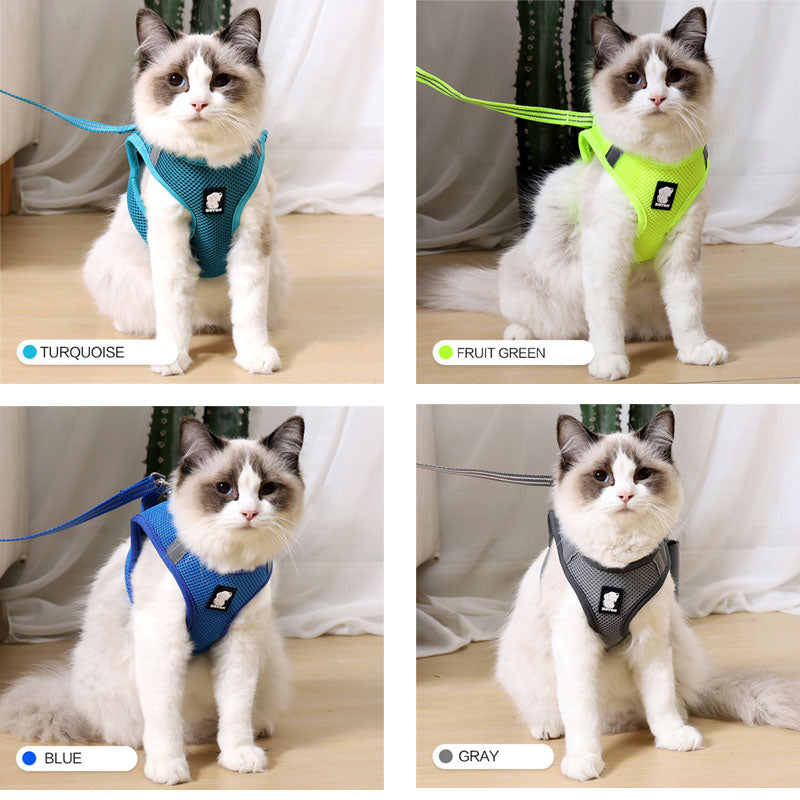 Cat Harness Walker