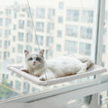 Cat Suction Cup Wall Mounted Window Hammock