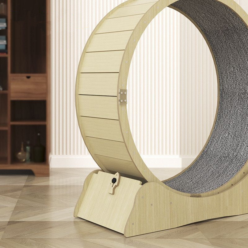 Cat Treadmill Fitness Roller