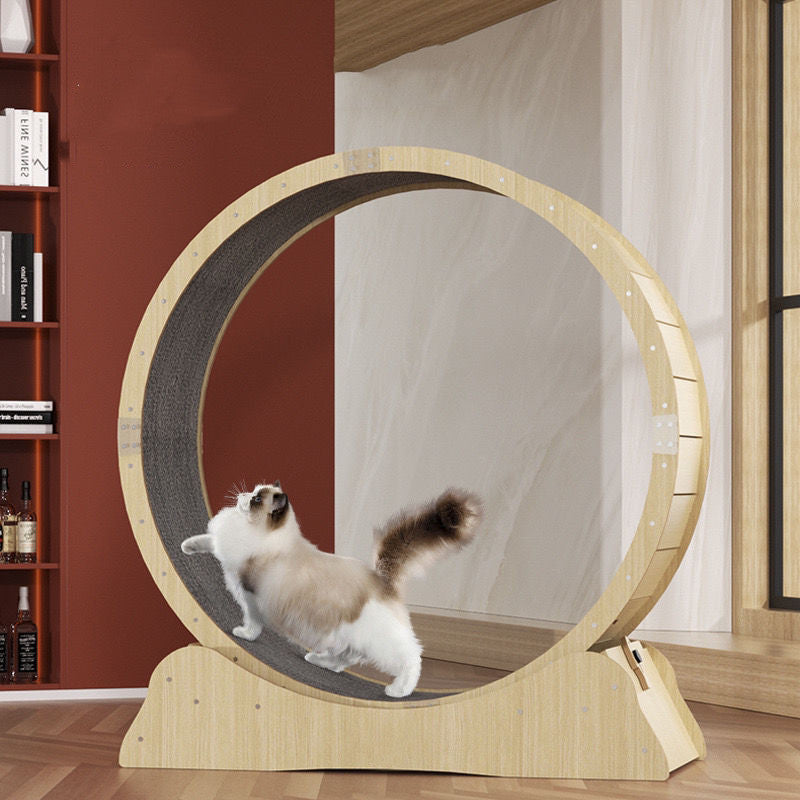 Cat Treadmill Fitness Roller