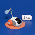 Remote Control Cat Car Toy