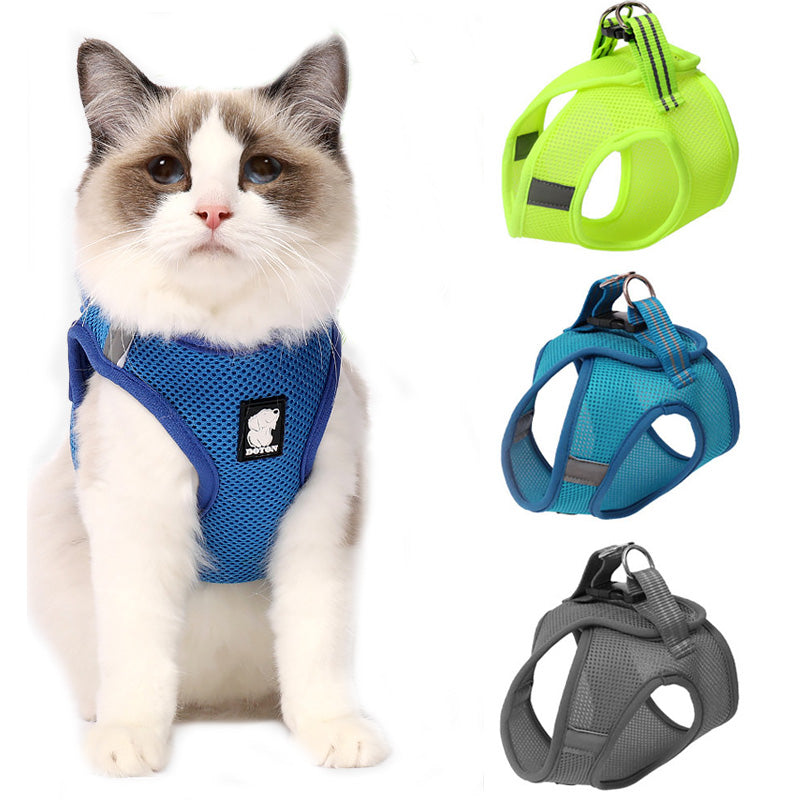 Cat Harness Walker