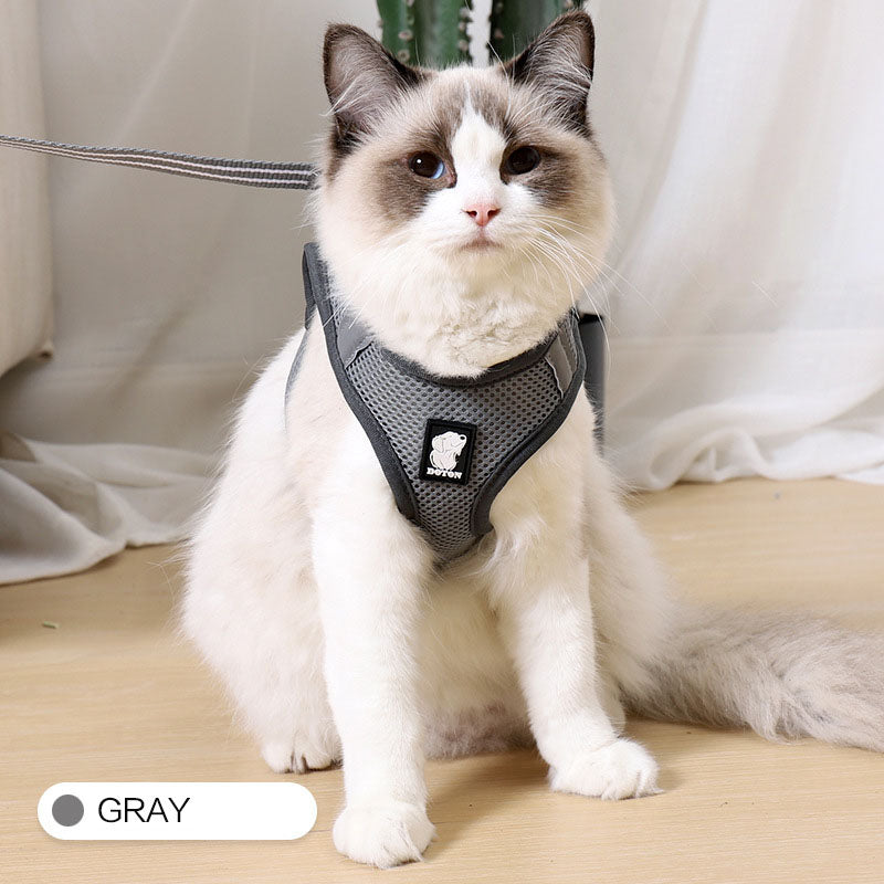 Cat Harness Walker