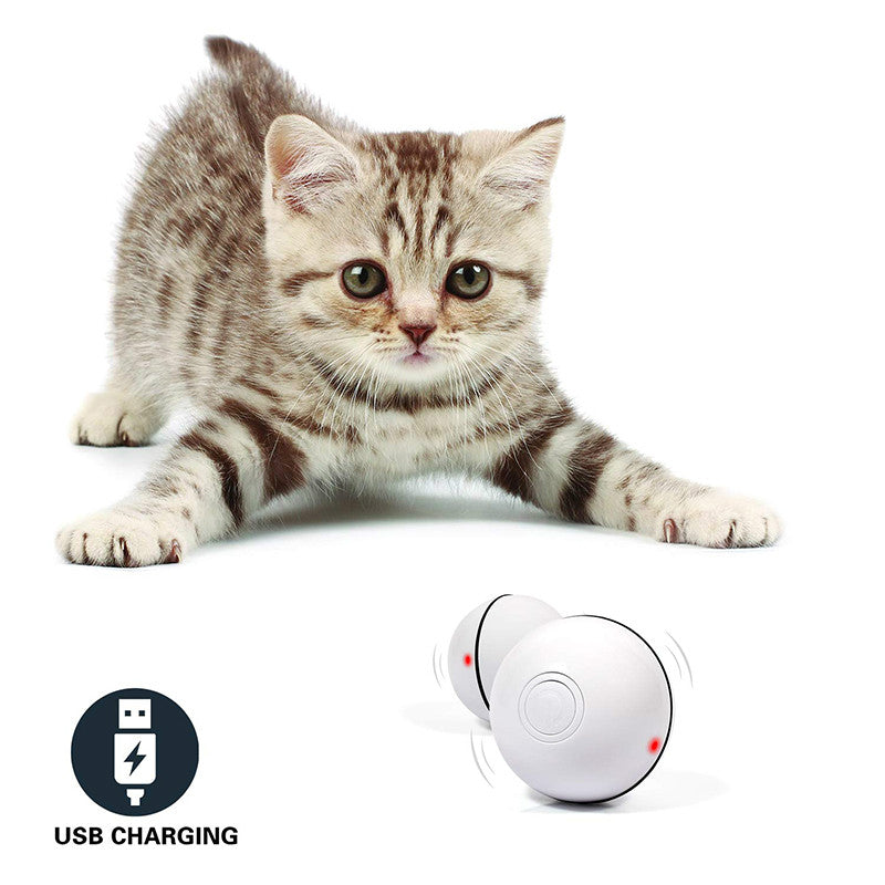 Laser Rolling Cat Toy Ball