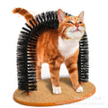Cat Hair and Massage Brush Comber
