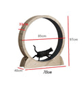 Cat Silent Treadmill Excercise Roller