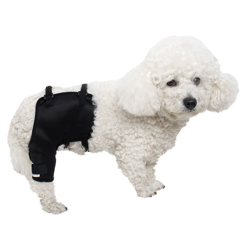 Dog Knee And Leg Guards For Arthritis