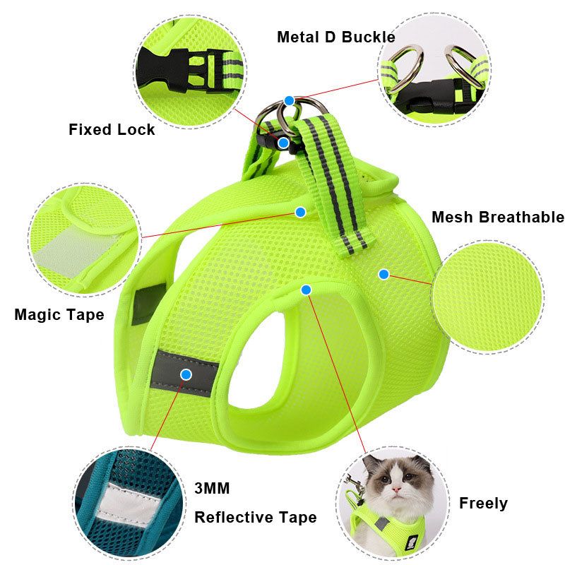 Cat Harness Walker