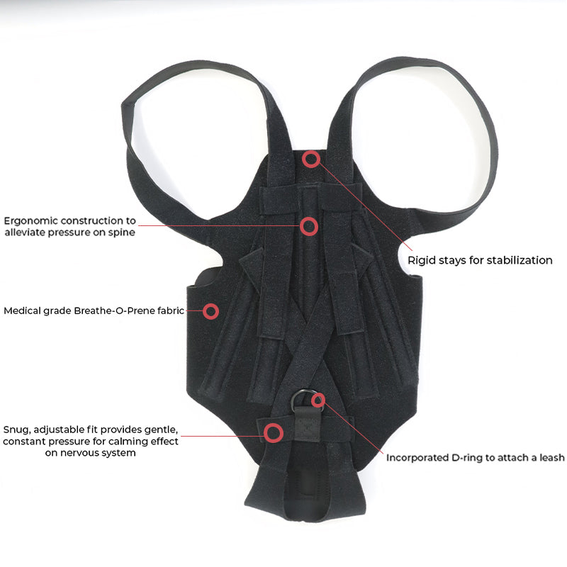 Back Brace For Dogs