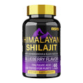 SHILAJIT GUMMIES