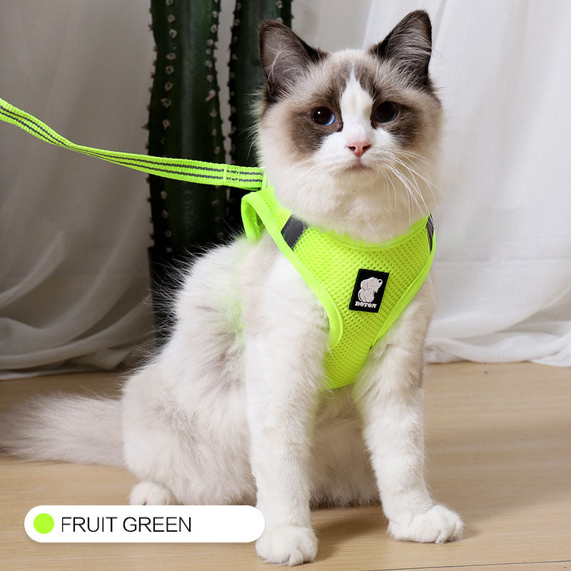 Cat Harness Walker