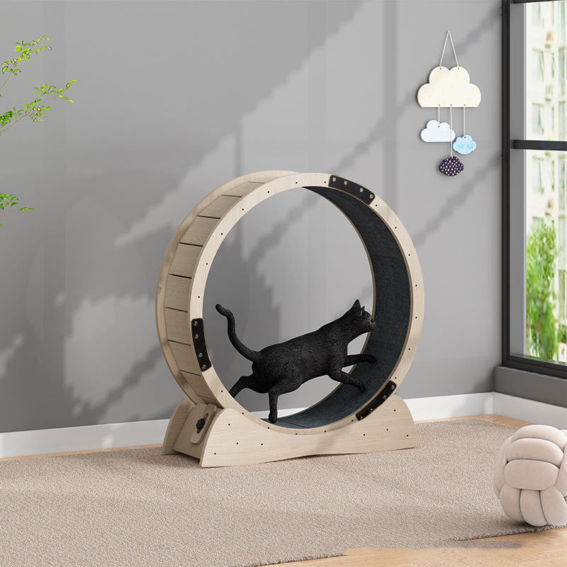Cat Silent Treadmill Excercise Roller