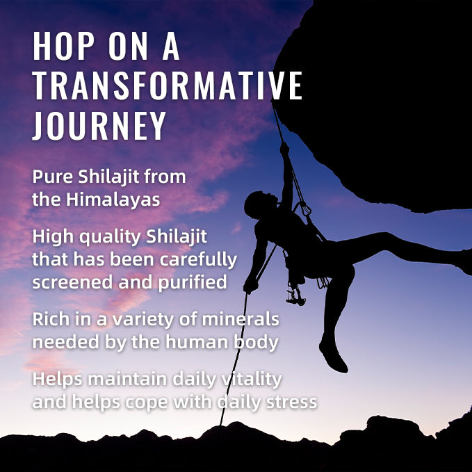 SHILAJIT GUMMIES