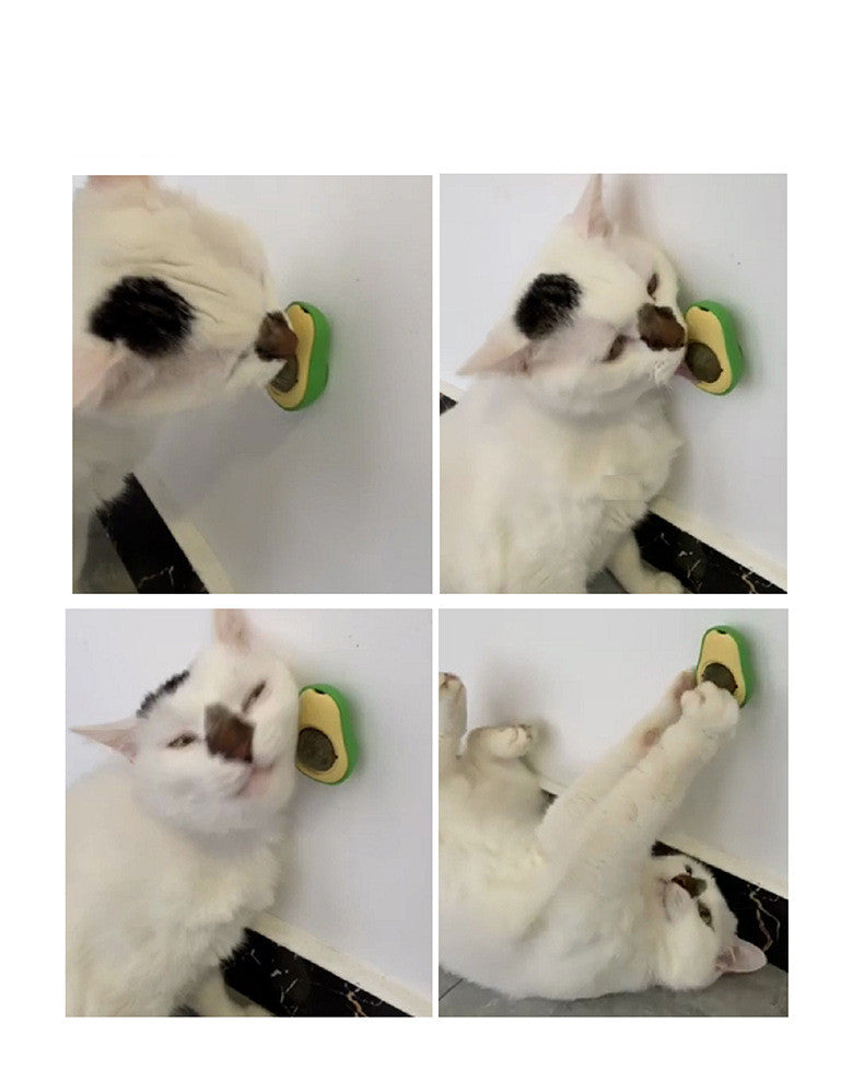 Avocado Cat Mint Catnip
