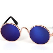 Pet Sun Glasses