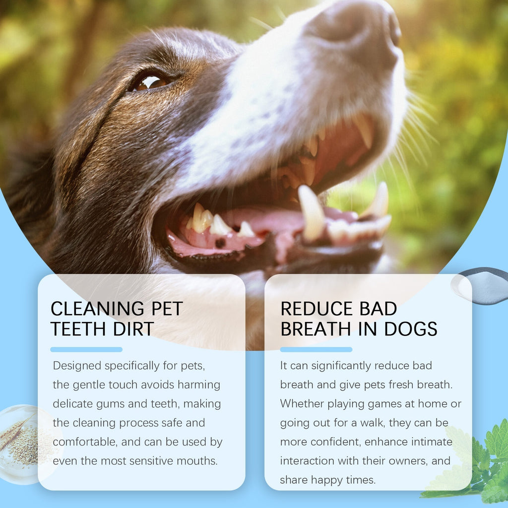 Dog and Cat Breath Toothbrush Pen