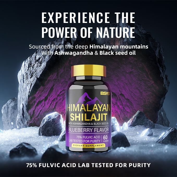 SHILAJIT GUMMIES