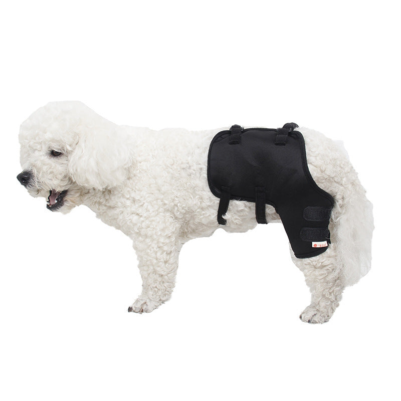 Dog Knee And Leg Guards For Arthritis