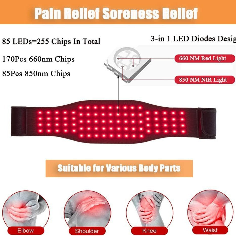Red Light Infrared Physical Therapy Belt