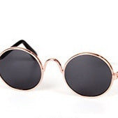 Pet Sun Glasses