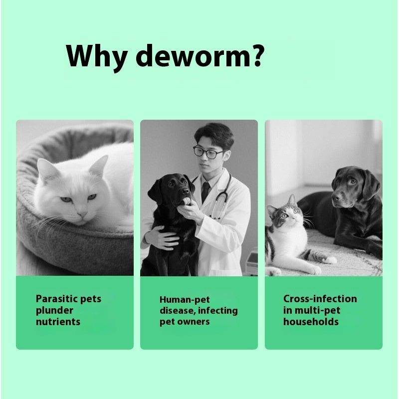 Cat and Dog Flea and Tick Chews