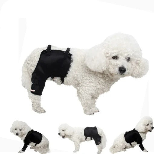 Dog Knee And Leg Guards For Arthritis