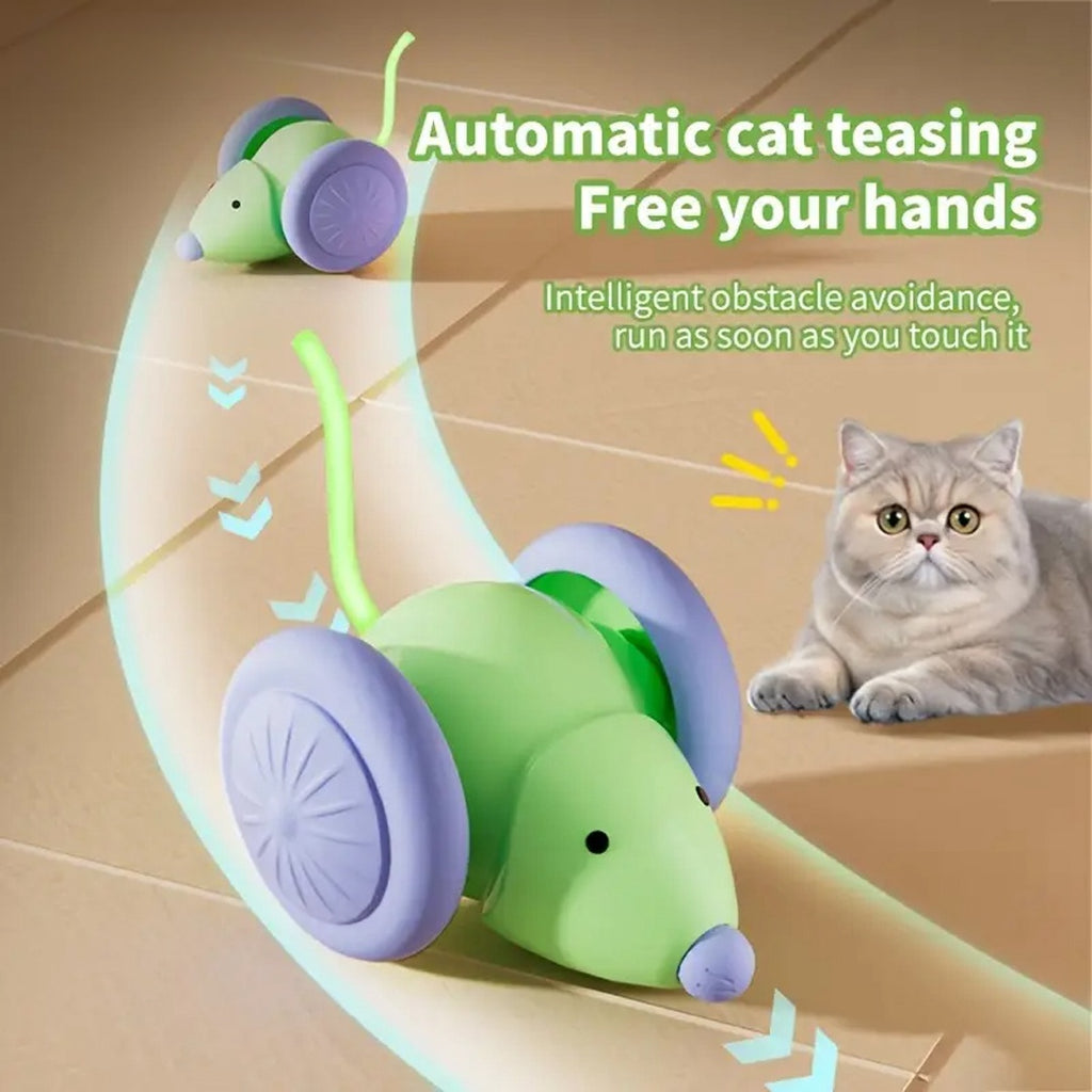 Cat Interactive Mouse Car Toy